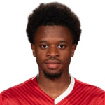 弗吉纽斯